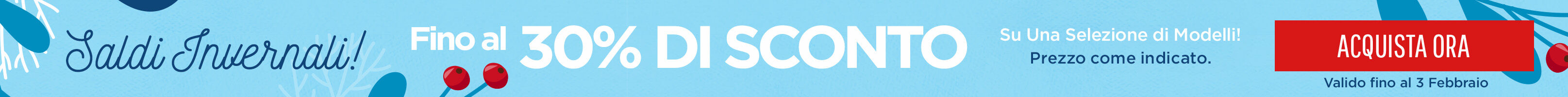 Winter Sale Skinny Banner South